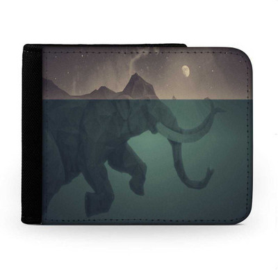 

Snoogg Men Multicolor Canvas Wallet(6 Card Slots), Multi