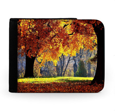 

Snoogg Men Multicolor Canvas Wallet(6 Card Slots), Multi