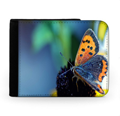 

Snoogg Men Multicolor Canvas Wallet(6 Card Slots), Multi