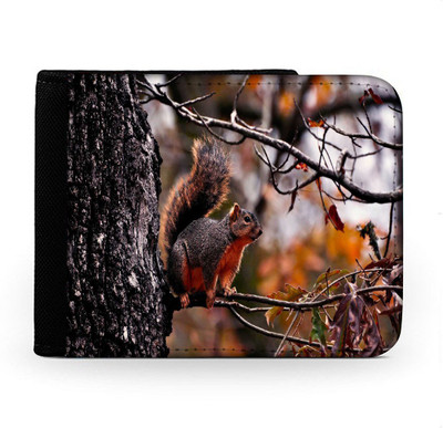 

Snoogg Men Multicolor Canvas Wallet(6 Card Slots), Multi