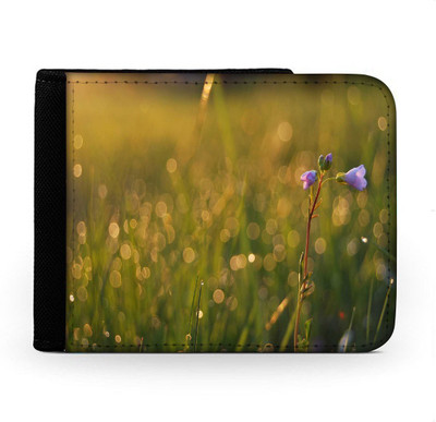 

Snoogg Men Multicolor Canvas Wallet(6 Card Slots), Multi