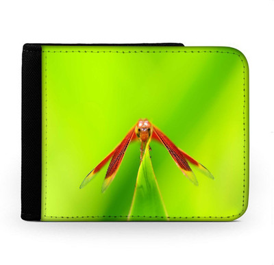 

Snoogg Men Multicolor Canvas Wallet(6 Card Slots), Multi