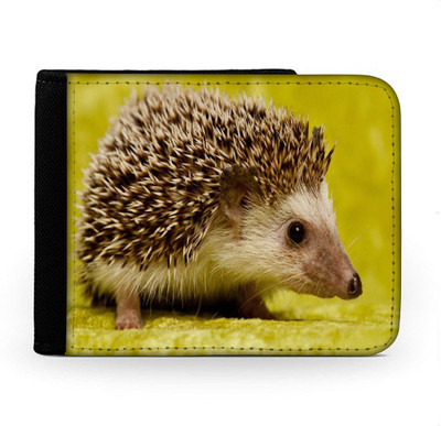 

Snoogg Men Multicolor Canvas Wallet(6 Card Slots), Multi