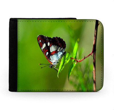 

Snoogg Men Multicolor Canvas Wallet(6 Card Slots), Multi