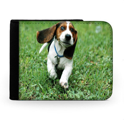 

Snoogg Men Multicolor Canvas Wallet(6 Card Slots), Multi