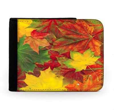 

Snoogg Men Multicolor Canvas Wallet(6 Card Slots), Multi