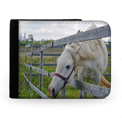 

Snoogg Men Multicolor Canvas Wallet(6 Card Slots), Multi