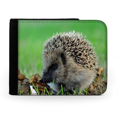 

Snoogg Men Multicolor Canvas Wallet(6 Card Slots), Multi