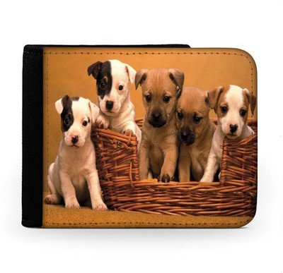 

Snoogg Men Multicolor Canvas Wallet(6 Card Slots), Multi