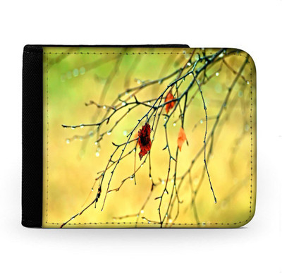 

Snoogg Men Multicolor Canvas Wallet(6 Card Slots), Multi