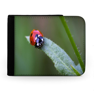 

Snoogg Men Multicolor Canvas Wallet(6 Card Slots), Multi