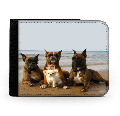 

Snoogg Men Multicolor Canvas Wallet(6 Card Slots), Multi