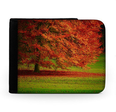 

Snoogg Men Multicolor Canvas Wallet(6 Card Slots), Multi