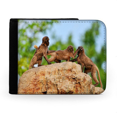 

Snoogg Men Multicolor Canvas Wallet(6 Card Slots), Multi