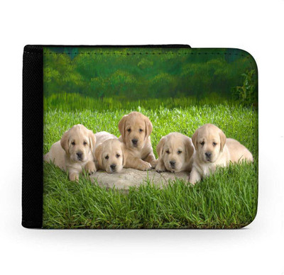 

Snoogg Men Multicolor Canvas Wallet(6 Card Slots), Multi
