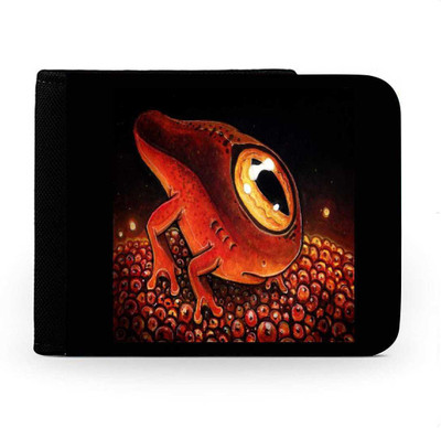 

Snoogg Men Multicolor Canvas Wallet(6 Card Slots), Multi