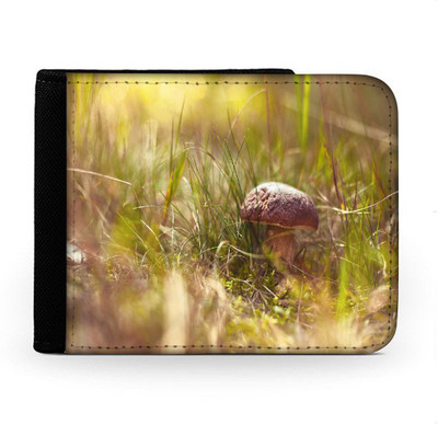 

Snoogg Men Multicolor Canvas Wallet(6 Card Slots), Multi