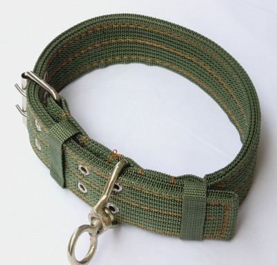 

pets empire Pet Dog Metal Buckle 2-rows - Nylon Fabric Belt Strap Adjustable Collar For Heavy dogs/puppy (Color May Vary) Plain Dog Collar Charm(Green, Round)