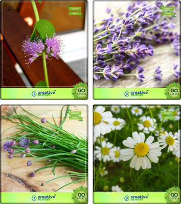 

Creative Farmer Herb Combo Penny Royal, Lavender, Garlic Chives, German Chamomille Herb Seeds Combo Pack By Creative Farmer Seed(1 per packet)