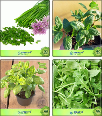 

Creative Farmer Combo Herbal Seeds Chives, Mint, Lemon Basil, Wild Rocket Herb Seeds Combo Pack By Creative Farmer Seed(1 per packet)