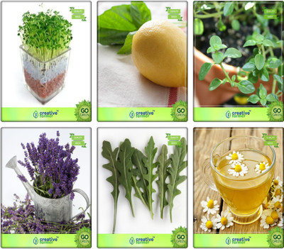 

Creative Farmer Herb Combo Pack Cress Common, Lemon Basil, Thyme English Winter, Lavender, Wild Rocket, German Chamomille Herb Seeds Combo Pack By Creative Farmer Seed(6 per packet)