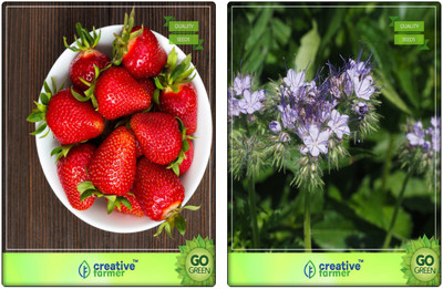

Creative Farmer Herb Seeds Combo Alpine Strawberry, Penny Royal Herb Seeds Combo Pack By Creative Farmer Seed(2 per packet)