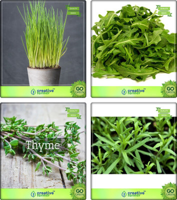 

Creative Farmer Herb Combo Packet Chives, Wild Rocket, Thyme English Winter, Terragon Herb Seeds Combo Pack By Creative Farmer Seed(1 per packet)