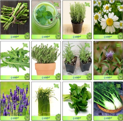 

Creative Farmer Herb Combo Asparagus, Lemon Balm, Rosemary, German Chamomille, Wild Rocket, Thyme English Winter, Terragon, Penny Royal, Lavender, Garlic Chives, Water Cress, Fennel Folrance Herb Seeds Combo Pack By Creative Farmer Seed(1 per packet)