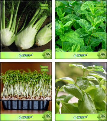 

Creative Farmer Herb Plant Seeds Fennel Folrance, Mint, Cress Common, Lemon Basil Herb Seeds Combo Pack By Creative Farmer Seed(4 per packet)