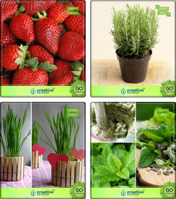 

Creative Farmer Combo Pack Herbs Alpine Strawberry, Rosemary, Chives, Lemon Balm Herb Seeds Combo Pack By Creative Farmer Seed(1 per packet)