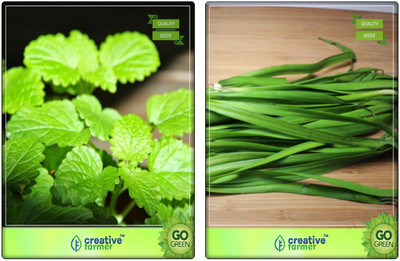 

Creative Farmer Combi Herb Seeds Mint, Garlic Chives Herb Seeds Combo Pack By Creative Farmer Seed(2 per packet)
