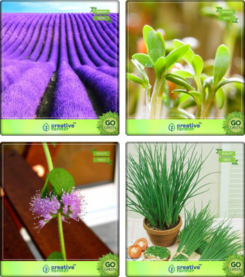 Creative Farmer Herb Seeds Combo Lavender, Water Cress, Penny Royal, Garlic Chives Herb Seeds Combo Pack By Creative Farmer Seed(1 per packet)