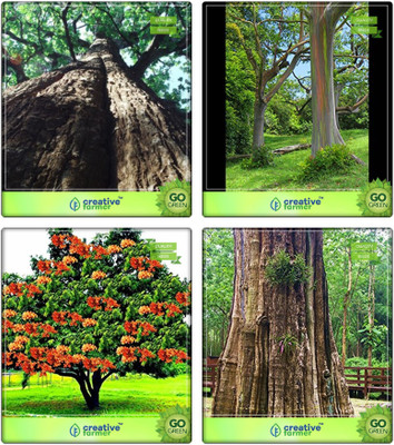 

Creative Farmer Home Garden Tree Seeds Indian Rosewood,Eucalyptus Grandis,Asoka ,Teak Seeds Combo For Home Garden Timber Species & Herb Tree & Sacred Tree & Timber Species/Shade Tree Seeds By Creative Farmer Seed(4 per packet)