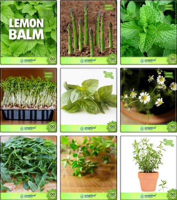 

Creative Farmer Combo Seeds Herbs Lemon Balm, Asparagus, Mint, Cress Common, Lemon Basil, German Chamomille, Wild Rocket, Thyme English Winter, Terragon Herb Seeds Combo Pack By Creative Farmer Seed(1 per packet)