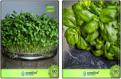 

Creative Farmer Combo Herbal Seeds Cress Common, Lemon Basil Herb Seeds Combo Pack By Creative Farmer Seed(2 per packet)