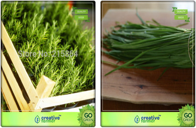 

Creative Farmer Herbal Plants Seeds For Home Garden Rosemary, Garlic Chives Herb Seeds Combo Pack By Creative Farmer Seed(2 per packet)