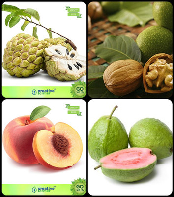 

Creative Farmer Forest Tree Seeds Anona Squamosa ,Wallnut ,Peach ,Guava Combo For Home Garden Fruit Seeds & Nut Seeds & Fruit Seeds Seeds By Creative Farmer Seed(4 per packet)