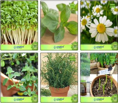 

Creative Farmer Combo Pack Cress Common, Lemon Basil, German Chamomille, Thyme English Winter, Terragon, Garlic Chives Herb Seeds Combo Pack By Creative Farmer Seed(6 per packet)
