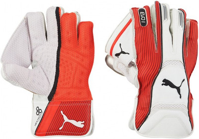

Puma EVO 1 Wicket Keeping Gloves (Men, Multicolor)