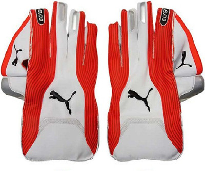 

Puma EVO 3 Wicket Keeping Gloves (Men, Multicolor), White orange
