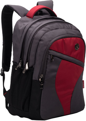 Cosmus Leeds Rugged School Bags with Laptop section for Class 6-9 33 L Laptop Backpack(Grey)