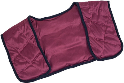 

VibeX Quick Heal™-Type-004 Hot & Cold Pack(Amaranth)
