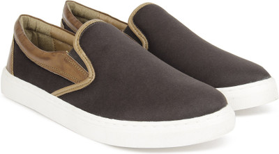 

North Star by Bata DOMINO Slip on Sneakers For Men(Brown