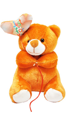 

Prachi toys Just for You Ballon Heart Teddy Bear Brown - 22 cm(Brown)