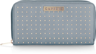 

Caprese Casual Blue Clutch