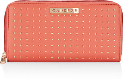 

Caprese Casual Pink Clutch