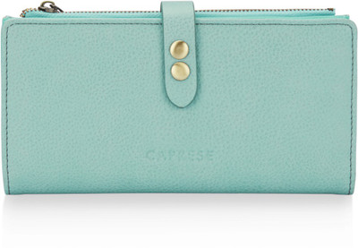 

Caprese Casual Blue Clutch