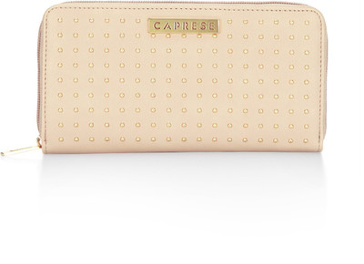 

Caprese Casual Beige Clutch