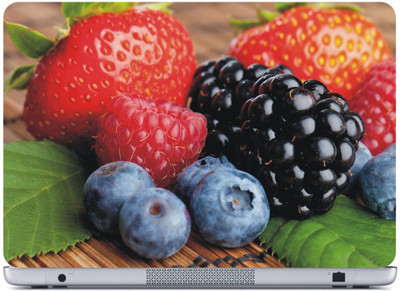 

PRINTAXA EX83 DECAL VINYL Laptop Decal 15.6