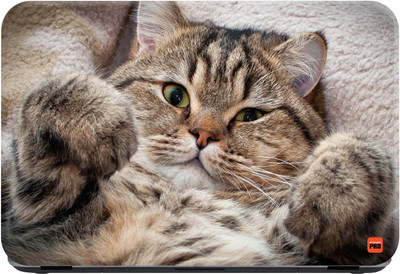 

STICKER PRO Animals_075 Premium LG Vinyl (matte) Laptop Decal 15.6